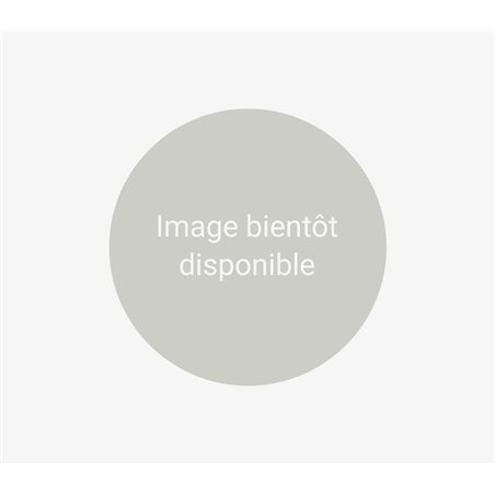 Brochette de boeuf minimum 250g