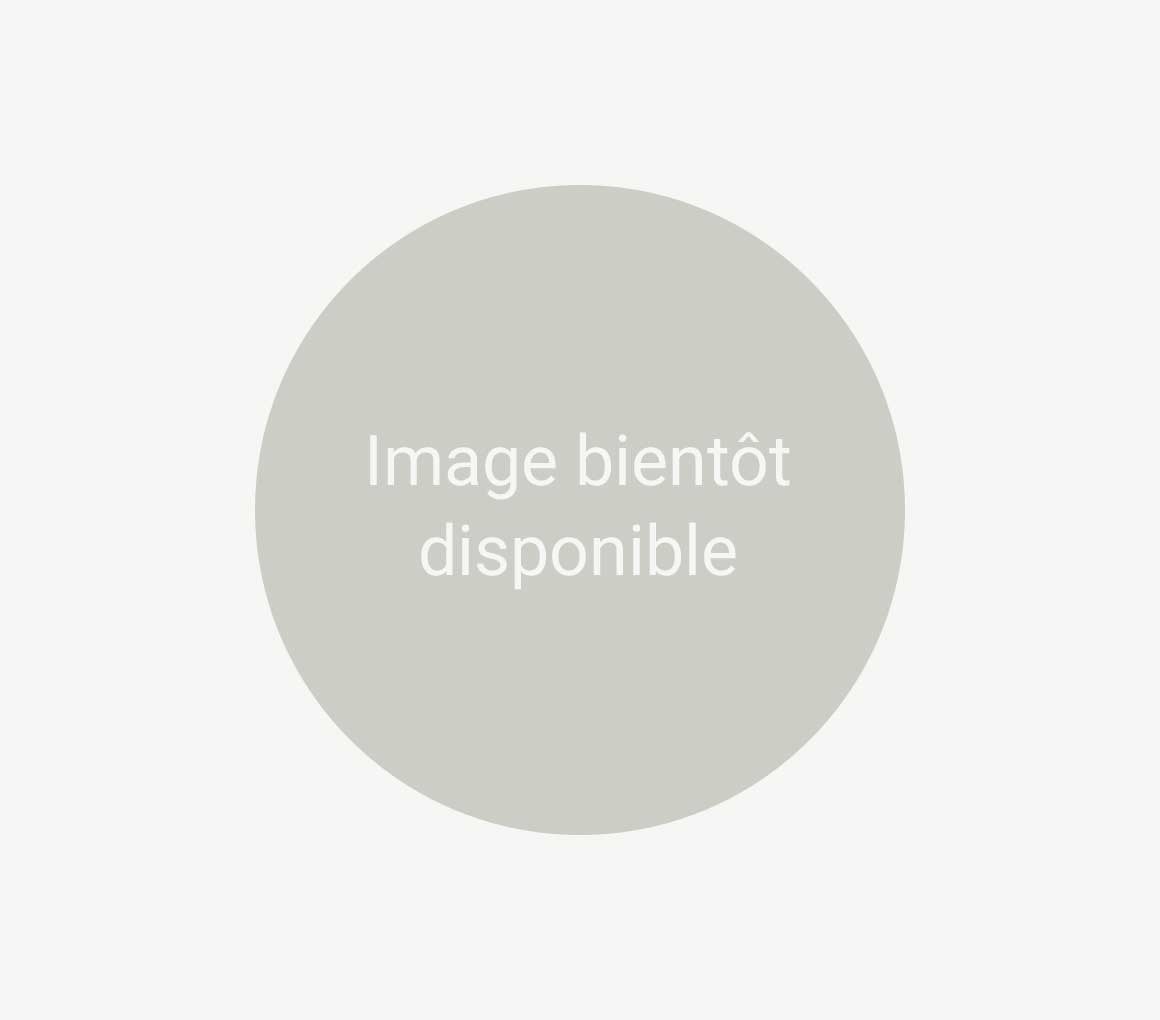 Fagotini basilic / comté